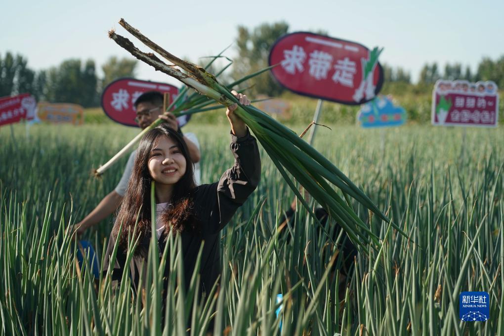 现金官方游戏